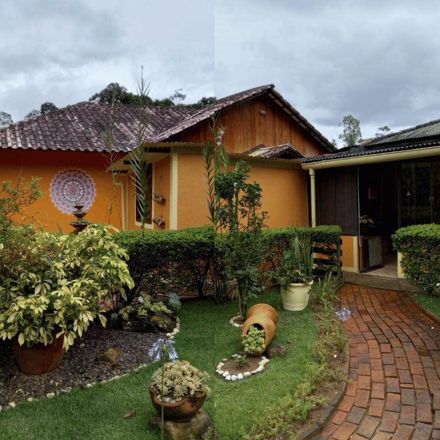 Chacara Toca Da Zuca Vila Divino de Sao Lourenco Exterior foto