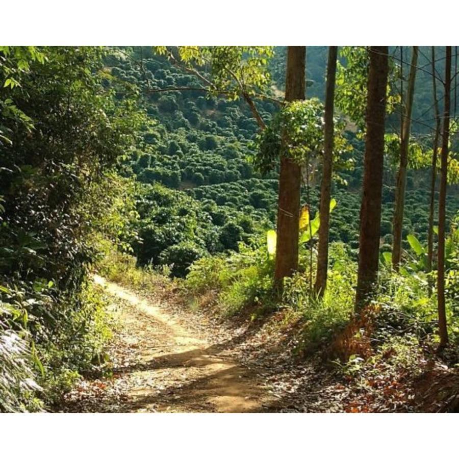 Chacara Toca Da Zuca Vila Divino de Sao Lourenco Exterior foto